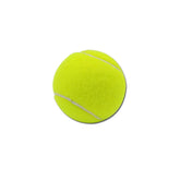 Pikapet Dog Toy Ball 1 Pack
